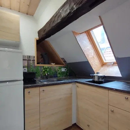 公寓 Dachgeschosswohnung In Der Altstadt Inklusive Pkw-parkplatz *